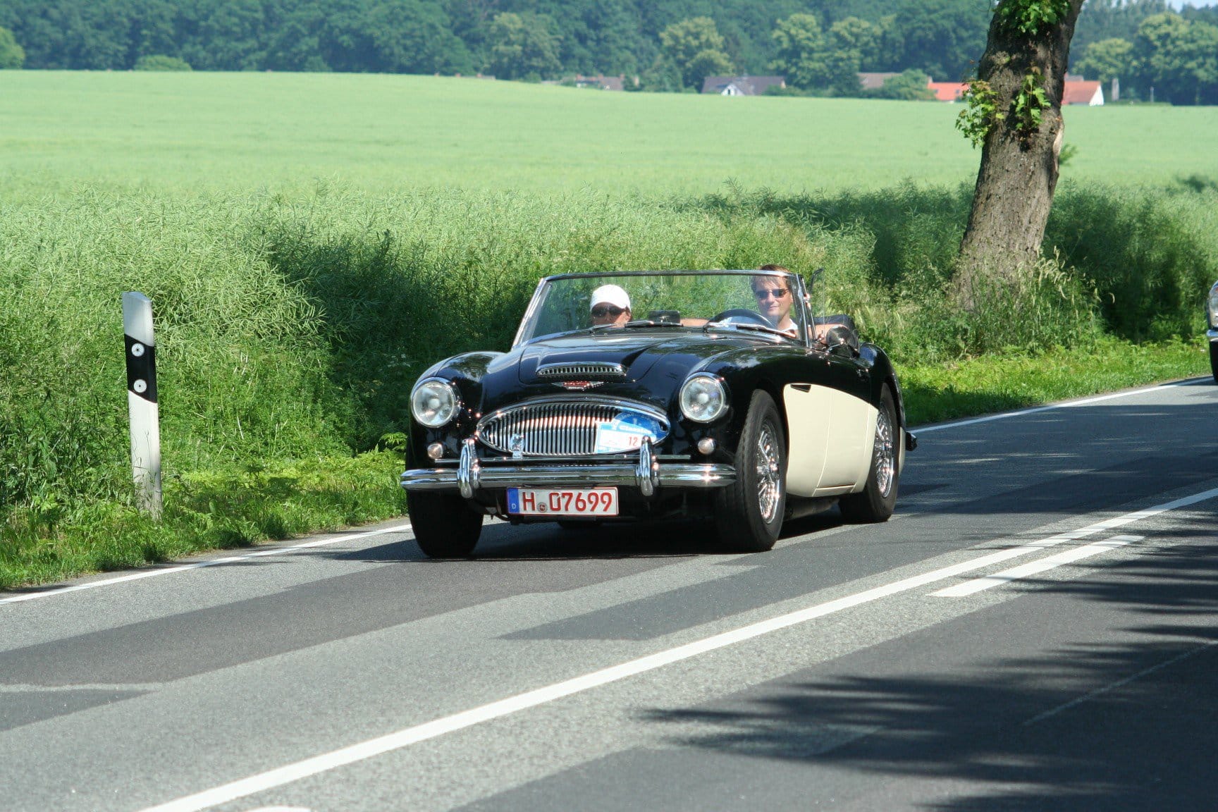 Healey Mecklenburg