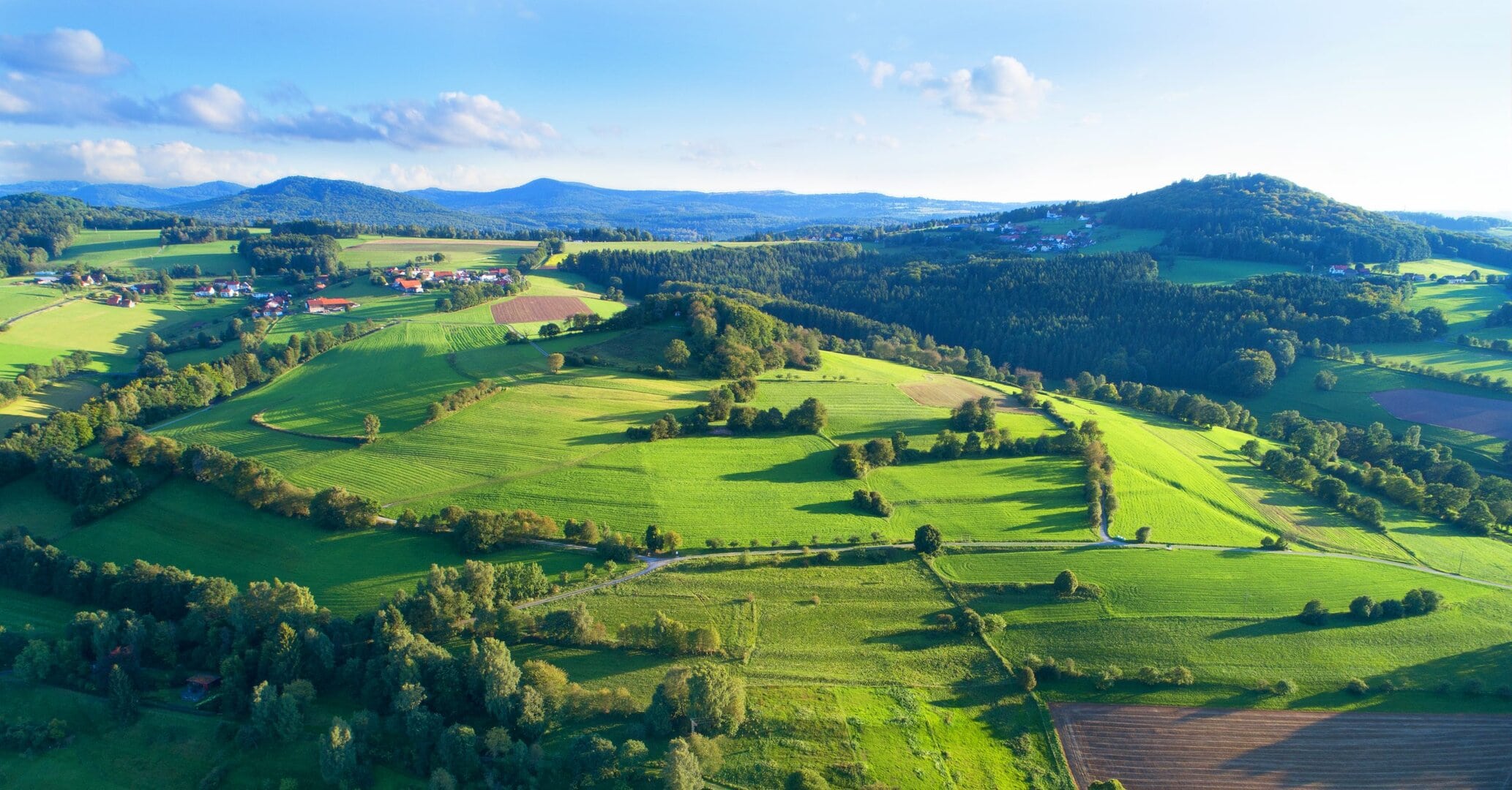 Titelbild RGC scaled